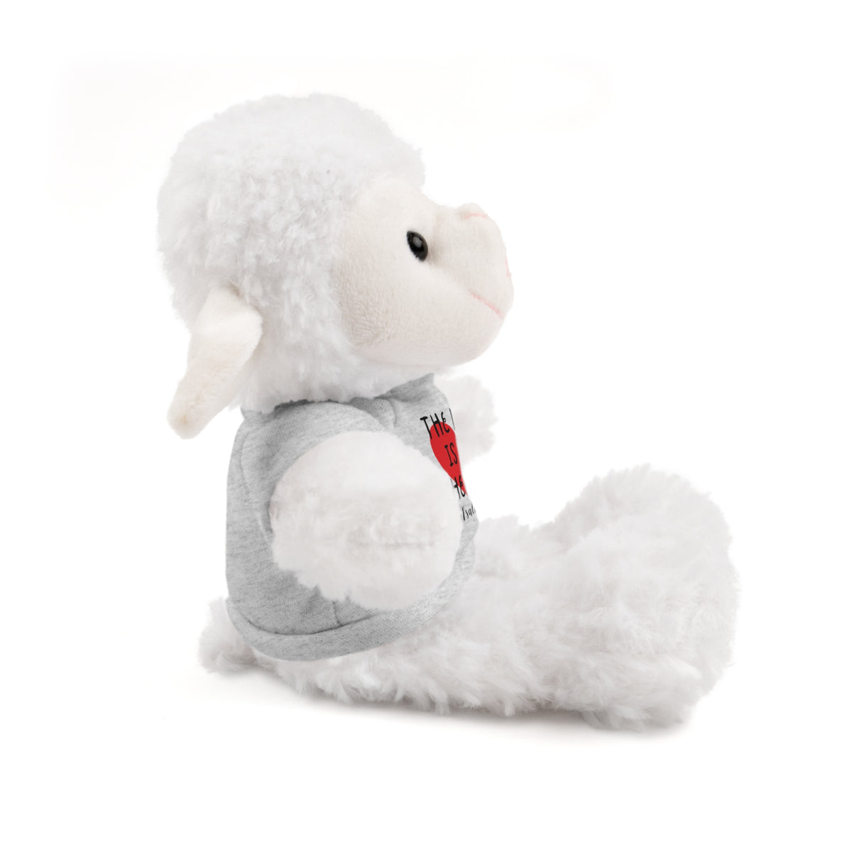 Christian Lamb Stuffed Animals with Bible Verse Tees | Psalm 23