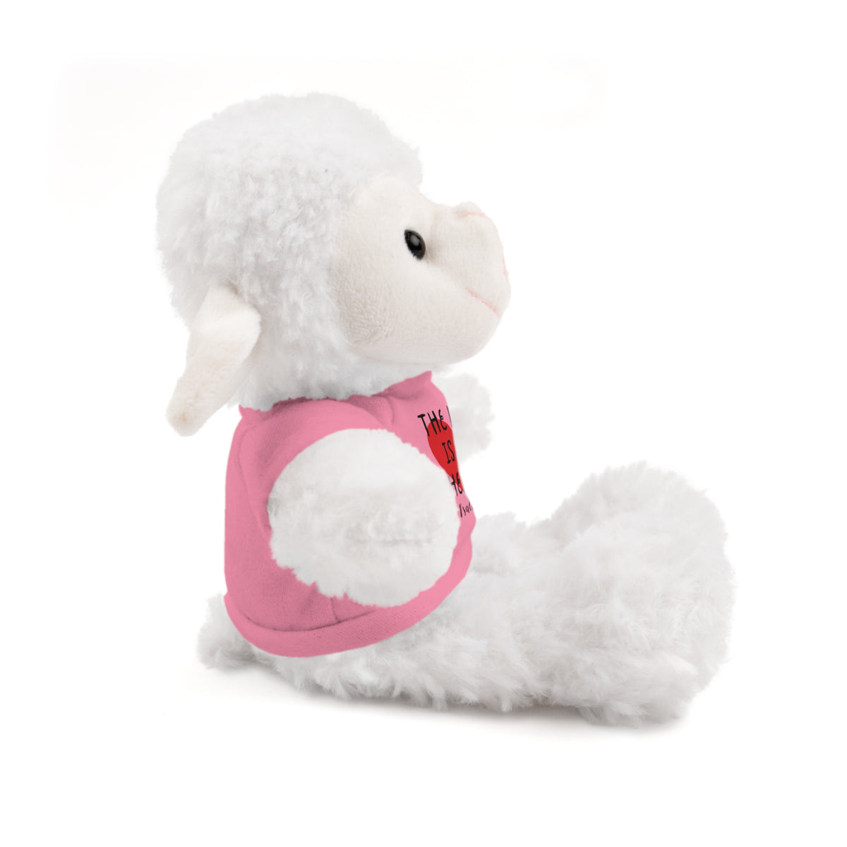 Christian Lamb Stuffed Animals with Bible Verse Tees | Psalm 23